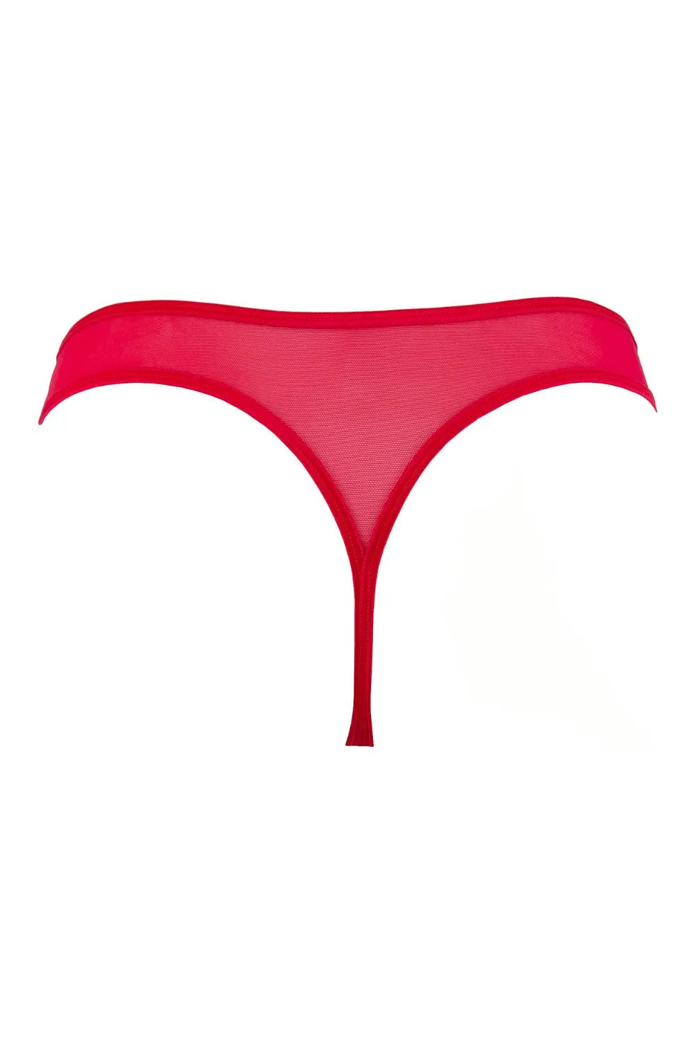 Axami Apassionata Thong - Limited Edition